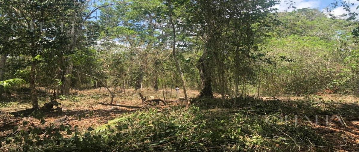 Foto de terreno habitacional en venta en  , cancún (internacional de cancún), benito juárez, quintana roo, 31472253 No. 05