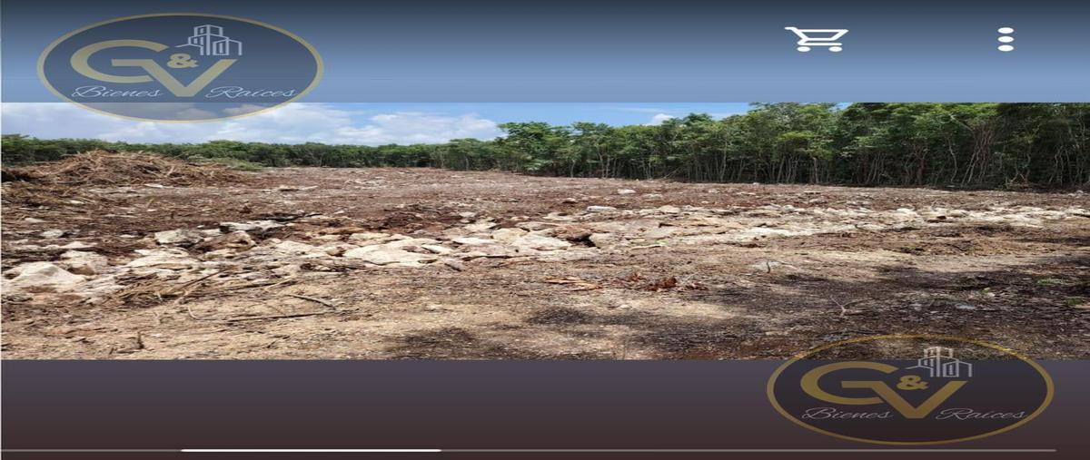 Foto de terreno habitacional en venta en  , cancún (internacional de cancún), benito juárez, quintana roo, 0 No. 03