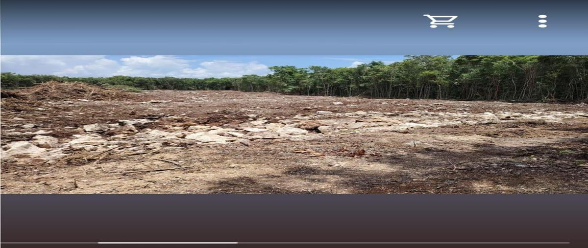 Foto de terreno habitacional en venta en  , cancún (internacional de cancún), benito juárez, quintana roo, 0 No. 03