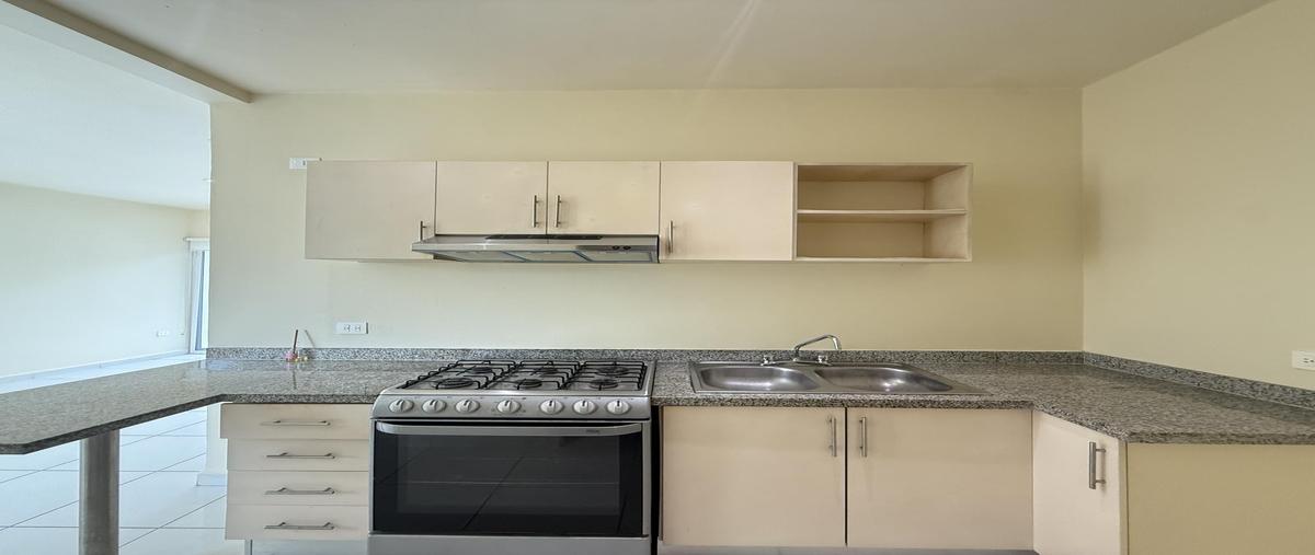 Foto de departamento en renta en  , cancún (internacional de cancún), benito juárez, quintana roo, 0 No. 04