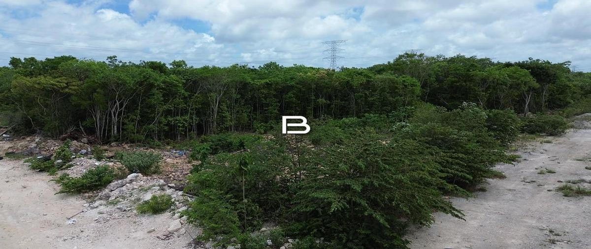 Foto de terreno habitacional en venta en  , cancún (internacional de cancún), benito juárez, quintana roo, 0 No. 03