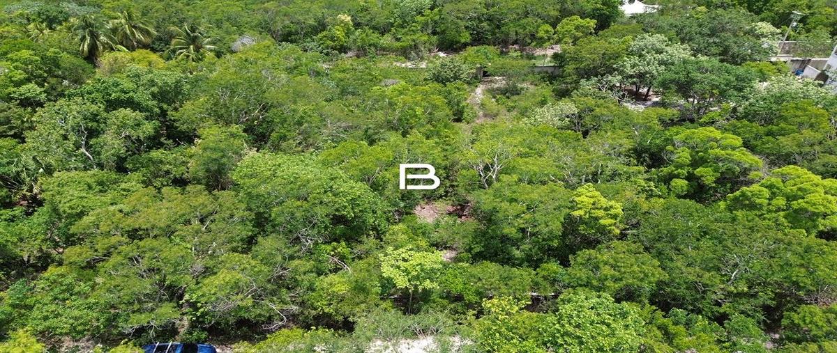 Foto de terreno habitacional en venta en  , cancún (internacional de cancún), benito juárez, quintana roo, 0 No. 05