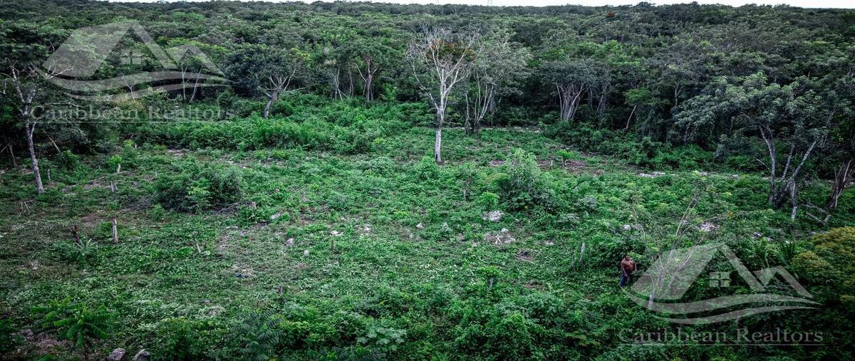 Foto de terreno habitacional en , cancún (internacional de cancún), benito juárez, quintana roo, 0 foto 01 Foto de terreno habitacional en venta en , cancún (internacional de cancún), benito juárez, quintana roo, 0 No. 01