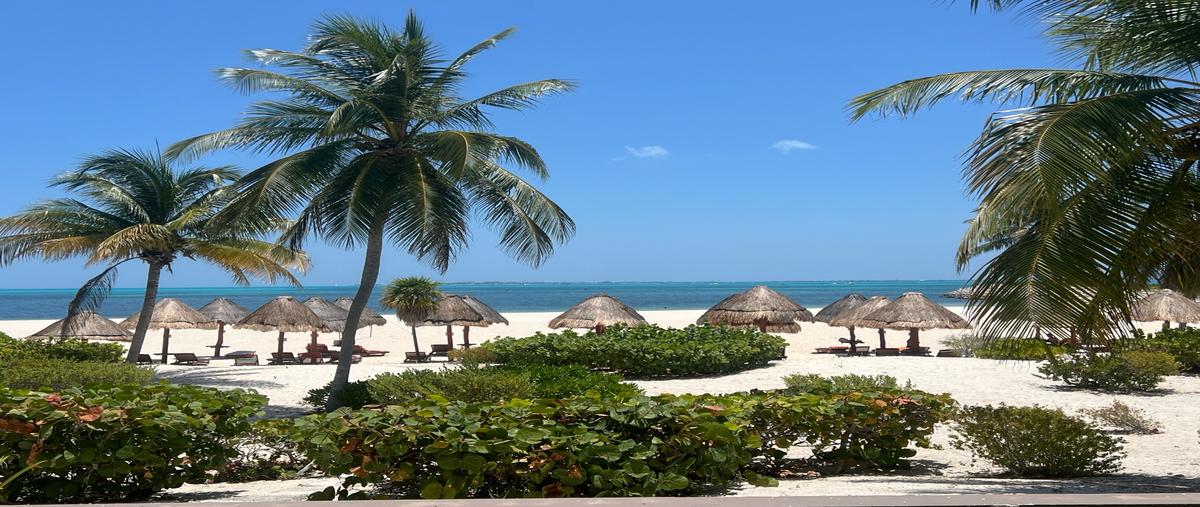 Foto de departamento en venta en  , cancún (internacional de cancún), benito juárez, quintana roo, 0 No. 04