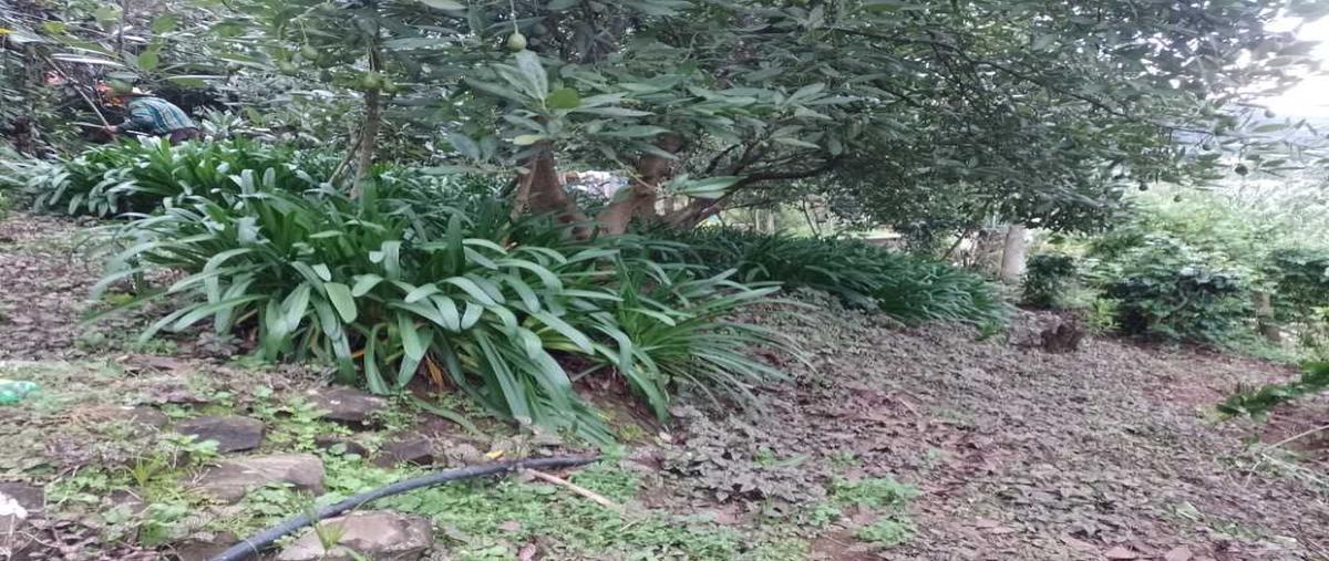 Foto de terreno habitacional en cande , la candelaria, valle de bravo, méxico, 28561098 foto 02 Foto de terreno habitacional en venta en cande , la candelaria, valle de bravo, méxico, 28561098 No. 02