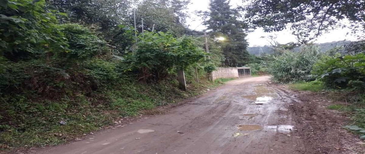 Foto de terreno habitacional en cande , la candelaria, valle de bravo, méxico, 28561098 foto 03 Foto de terreno habitacional en venta en cande , la candelaria, valle de bravo, méxico, 28561098 No. 03