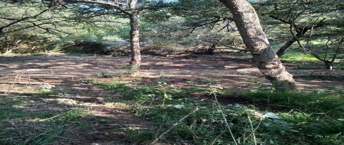 Foto de terreno habitacional en venta en canoas , canoas, montemorelos, nuevo león, 0 No. 05