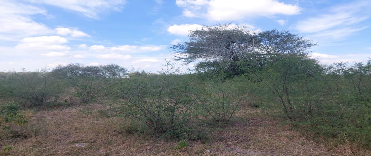 Foto de terreno habitacional en venta en  , canoas, chontla, veracruz de ignacio de la llave, 0 No. 03