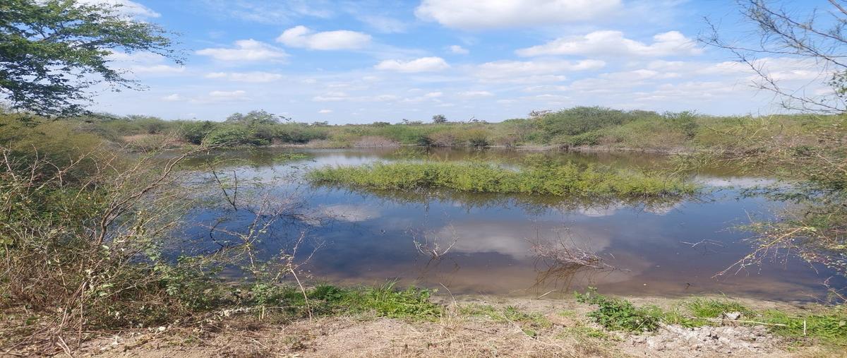 Foto de terreno habitacional en venta en  , canoas, chontla, veracruz de ignacio de la llave, 0 No. 04