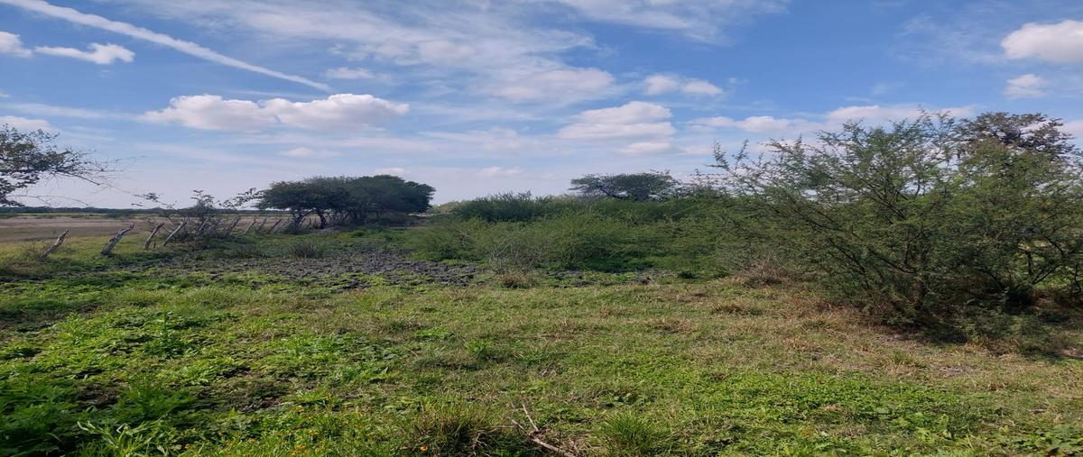 Foto de terreno habitacional en venta en  , canoas, chontla, veracruz de ignacio de la llave, 0 No. 05