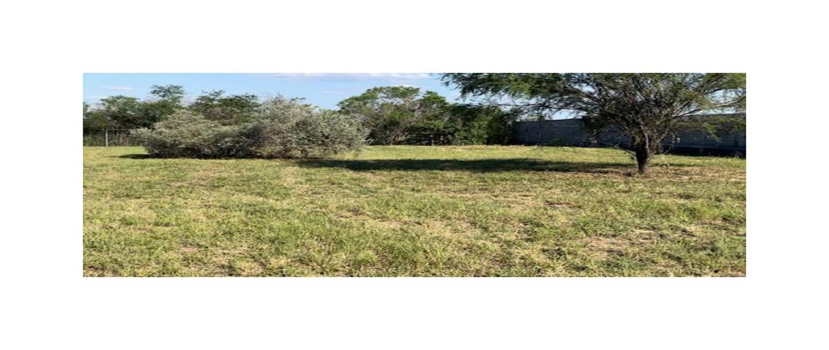 Foto de terreno habitacional en venta en  , canoas, montemorelos, nuevo león, 0 No. 03