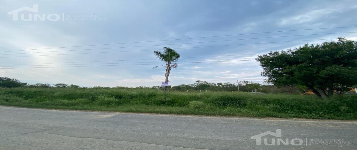Foto de terreno habitacional en , canoas, montemorelos, nuevo león, 0 foto 05 Foto de terreno habitacional en venta en , canoas, montemorelos, nuevo león, 0 No. 05