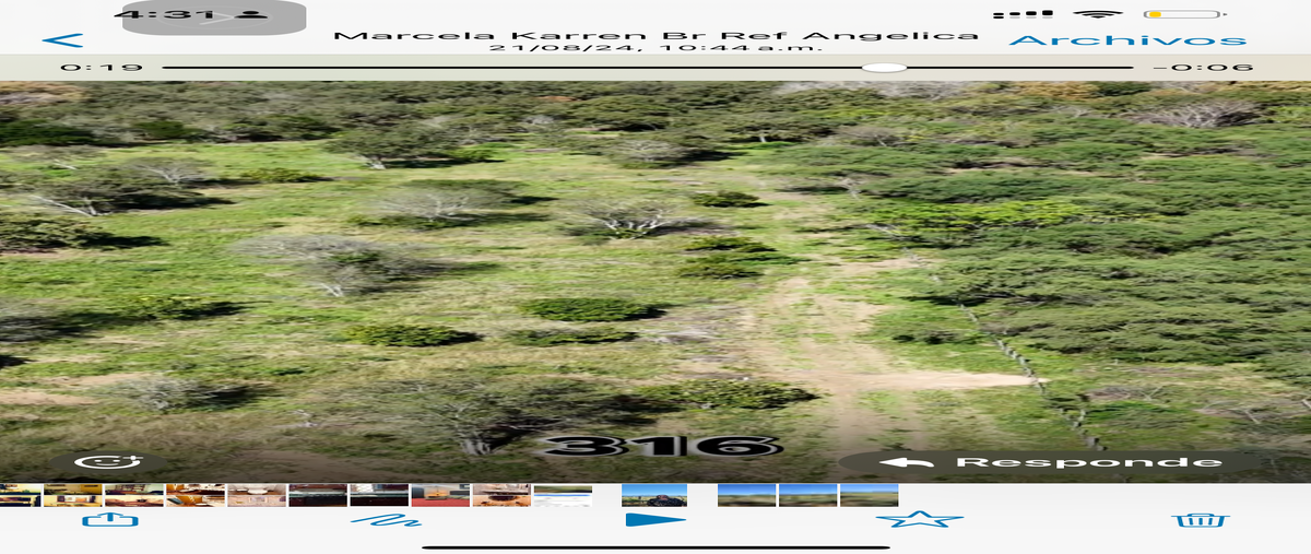 Foto de terreno habitacional en venta en  , canoas, montemorelos, nuevo león, 28495133 No. 03