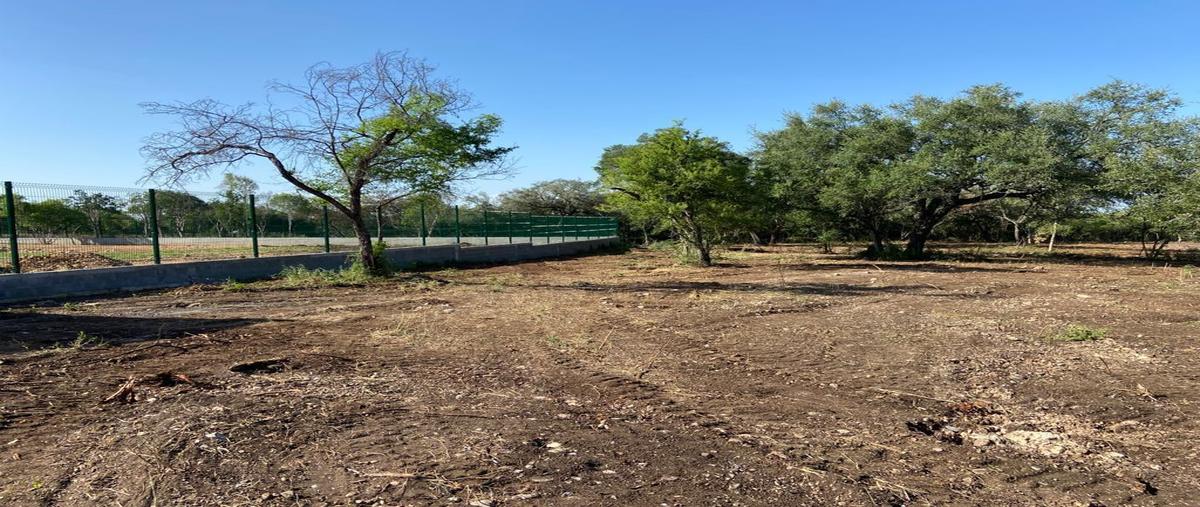 Foto de terreno habitacional en venta en  , canoas, montemorelos, nuevo león, 29071734 No. 05