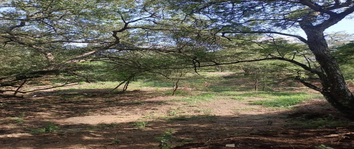 Foto de terreno habitacional en venta en  , canoas, montemorelos, nuevo león, 30811105 No. 04