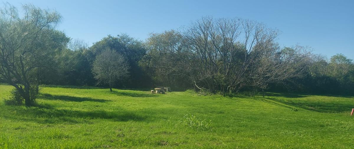 Foto de terreno habitacional en venta en  , canoas, montemorelos, nuevo león, 0 No. 03