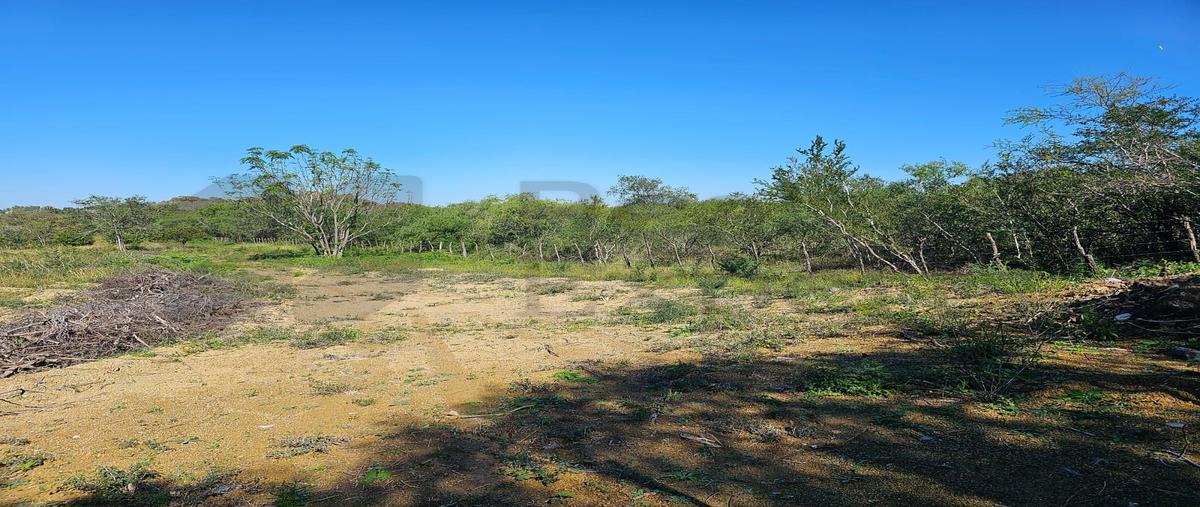 Foto de terreno habitacional en venta en  , canoas, montemorelos, nuevo león, 31482094 No. 03