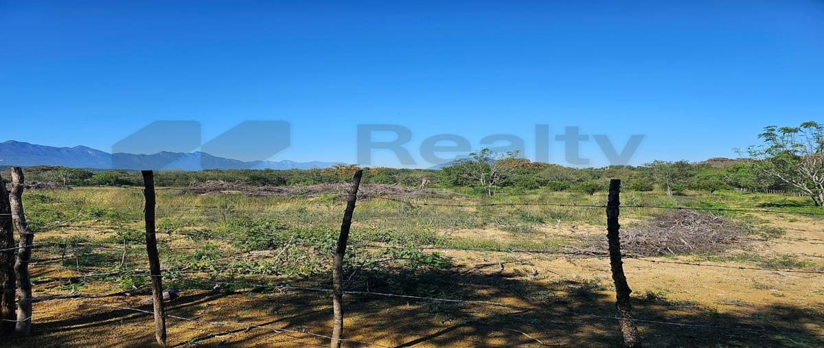 Foto de terreno habitacional en venta en  , canoas, montemorelos, nuevo león, 31482094 No. 04