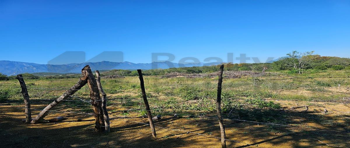 Foto de terreno habitacional en venta en  , canoas, montemorelos, nuevo león, 31482094 No. 05
