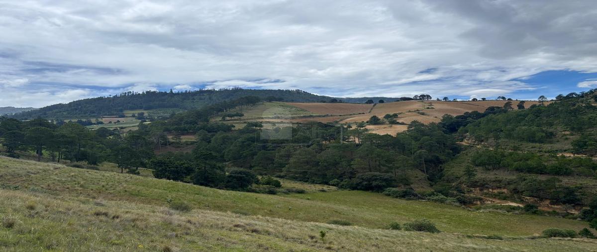 Foto de terreno comercial en venta en canoitas 1, canoitas, guadalupe victoria, puebla, 30208859 No. 04