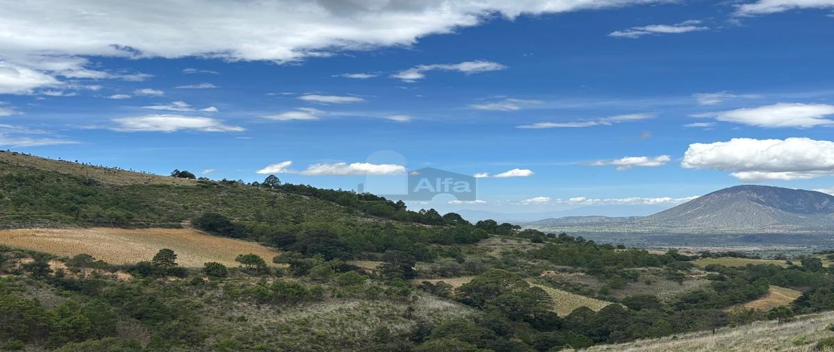 Foto de terreno comercial en venta en canoitas 1, canoitas, guadalupe victoria, puebla, 30208859 No. 05