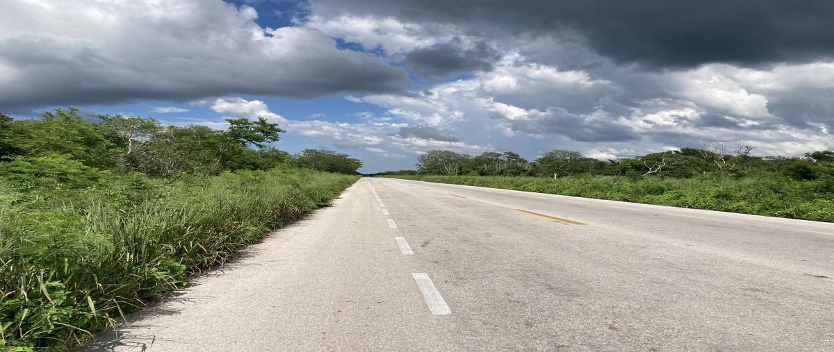 Foto de terreno habitacional en venta en  , cansahcab, cansahcab, yucatán, 29767843 No. 05