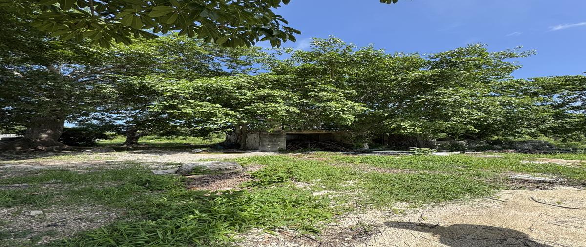 Foto de rancho en . , cansahcab, cansahcab, yucatán, 30247935 foto 01 Foto de rancho en venta en . , cansahcab, cansahcab, yucatán, 30247935 No. 01