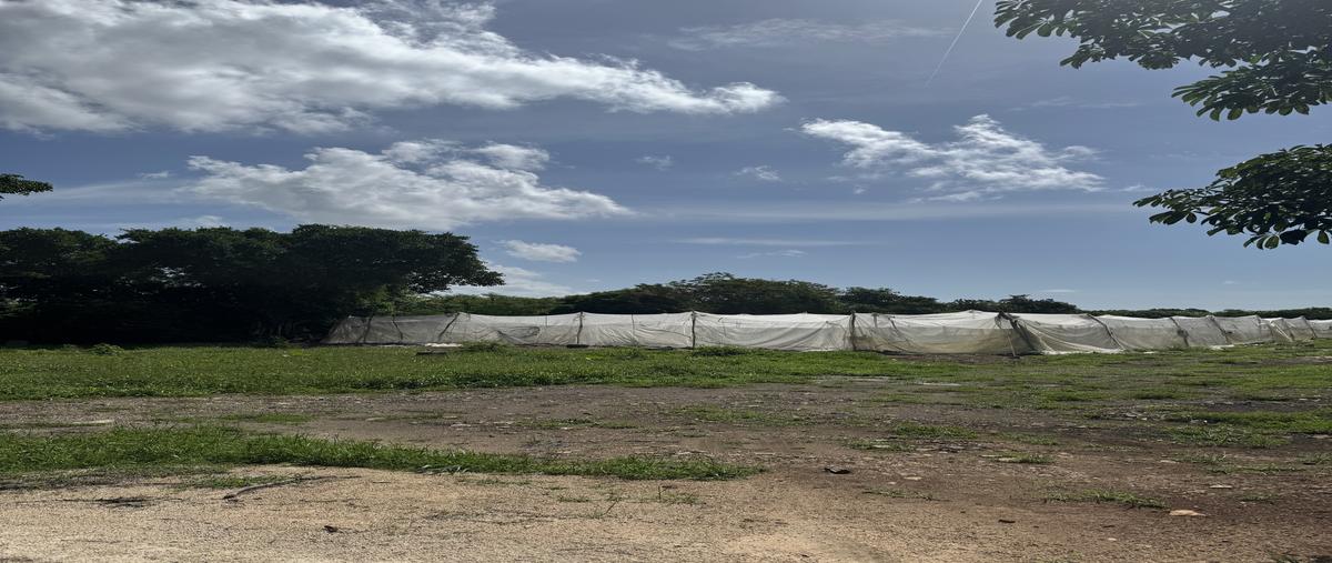 Foto de rancho en . , cansahcab, cansahcab, yucatán, 30247935 foto 03 Foto de rancho en venta en . , cansahcab, cansahcab, yucatán, 30247935 No. 03