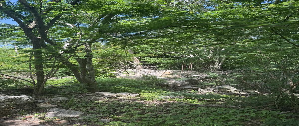 Foto de rancho en . , cansahcab, cansahcab, yucatán, 30247935 foto 04 Foto de rancho en venta en . , cansahcab, cansahcab, yucatán, 30247935 No. 04