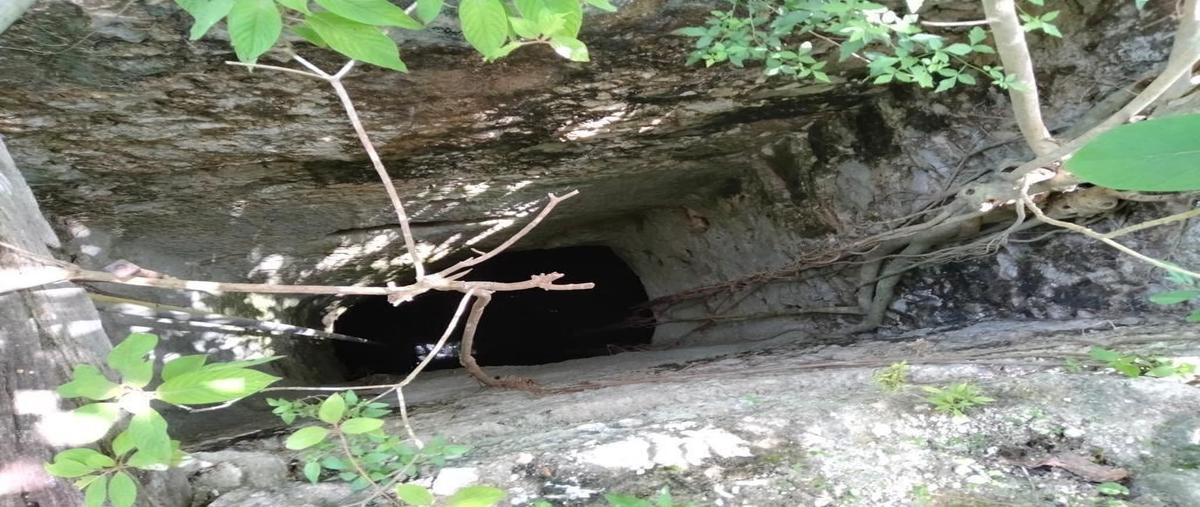 Foto de terreno habitacional en venta en  , cantamayec, cantamayec, yucatán, 0 No. 03