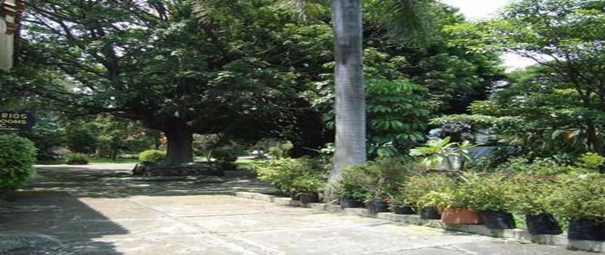Foto de casa en venta en  , cantarranas, cuernavaca, morelos, 11759576 No. 04