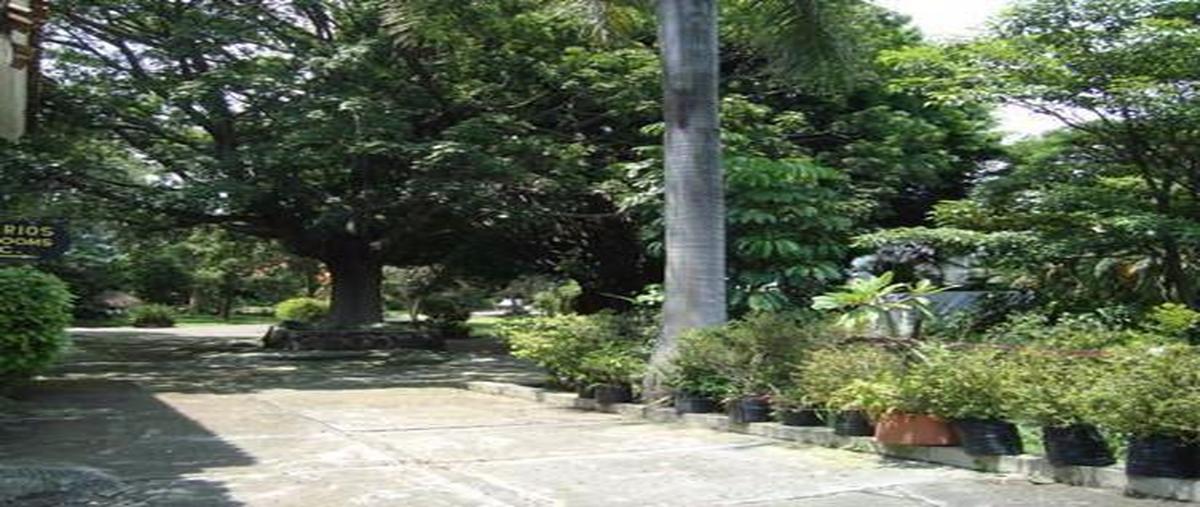 Foto de casa en venta en  , cantarranas, cuernavaca, morelos, 6983457 No. 04