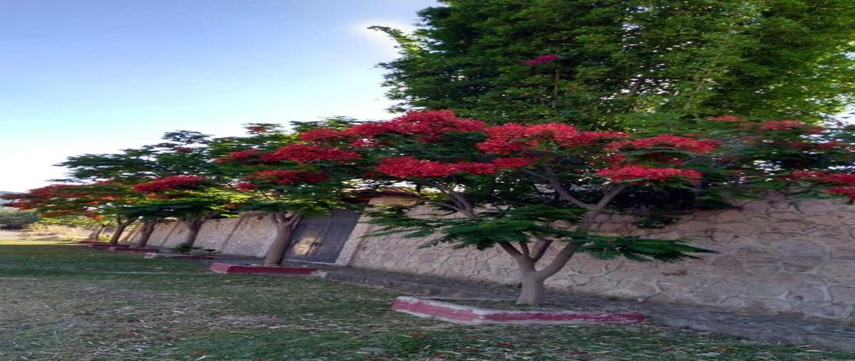 Foto de casa en venta en cantera, esquina onix, lote 5, manzana 3. , la giralda, zapopan, jalisco, 0 No. 03