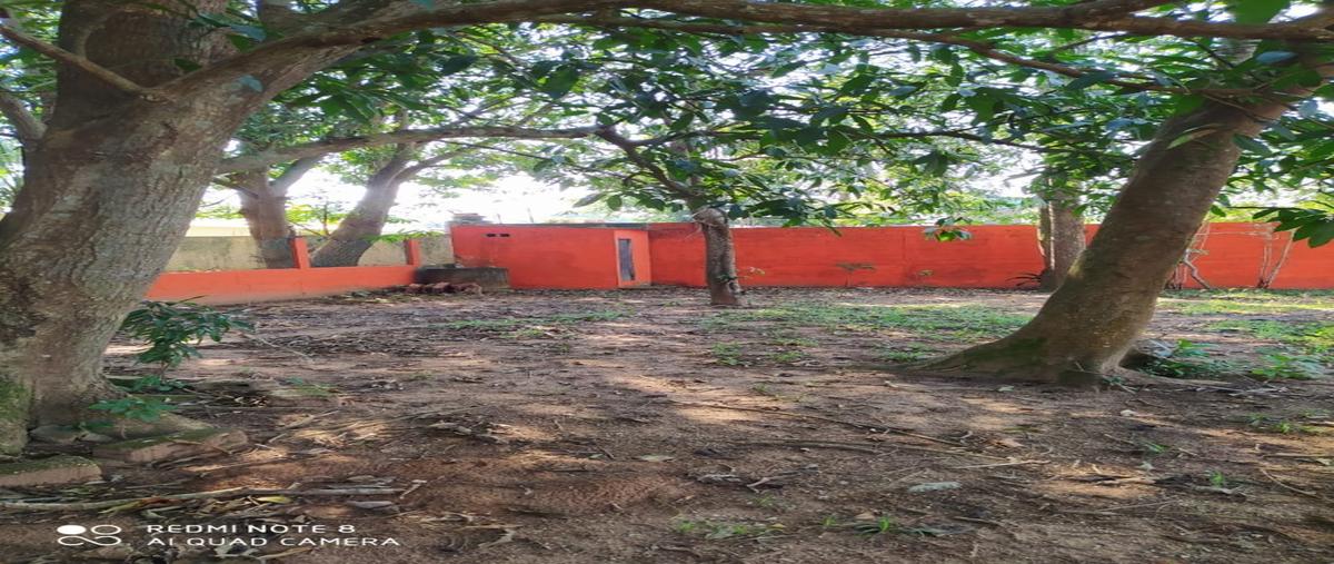 Foto de terreno habitacional en venta en  , canticas, cosoleacaque, veracruz de ignacio de la llave, 12816341 No. 04