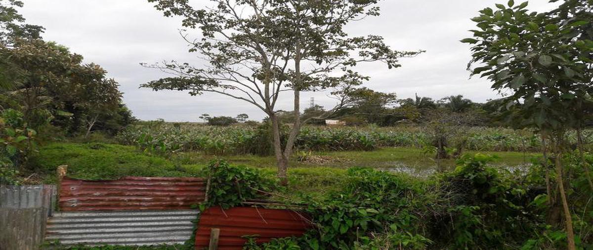 Foto de terreno habitacional en venta en  , canticas, cosoleacaque, veracruz de ignacio de la llave, 0 No. 03