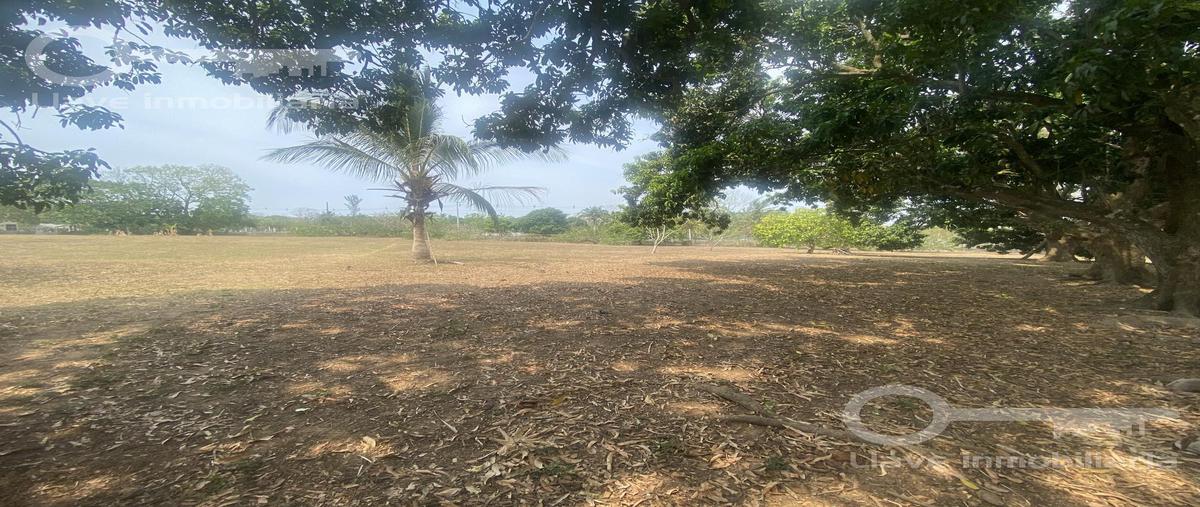 Foto de terreno habitacional en venta en  , canticas, cosoleacaque, veracruz de ignacio de la llave, 0 No. 05