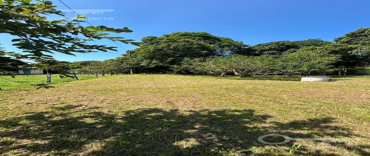 Foto de terreno habitacional en venta en  , canticas, cosoleacaque, veracruz de ignacio de la llave, 0 No. 04