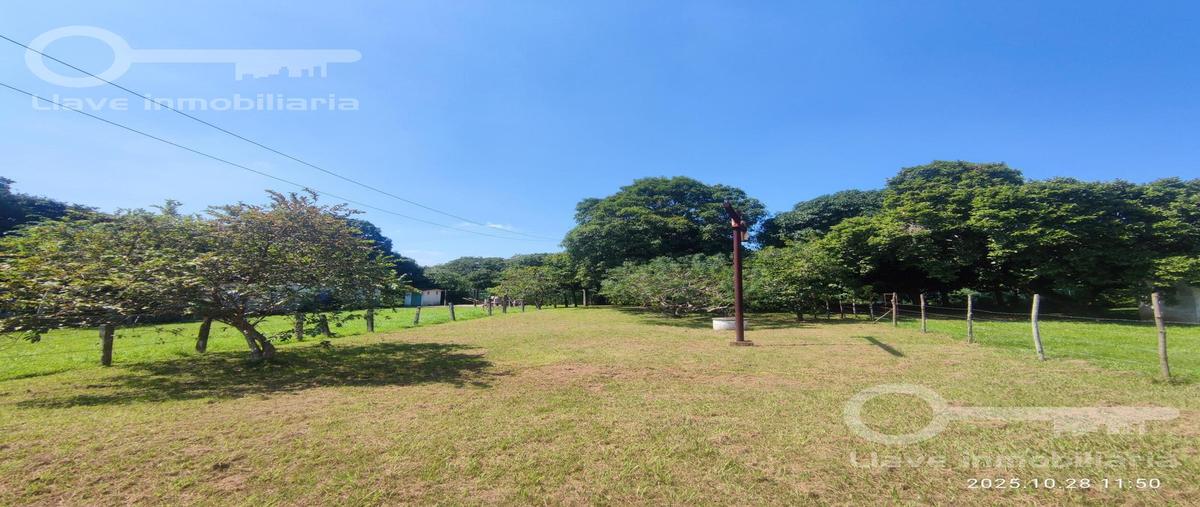 Foto de terreno habitacional en venta en  , canticas, cosoleacaque, veracruz de ignacio de la llave, 0 No. 05