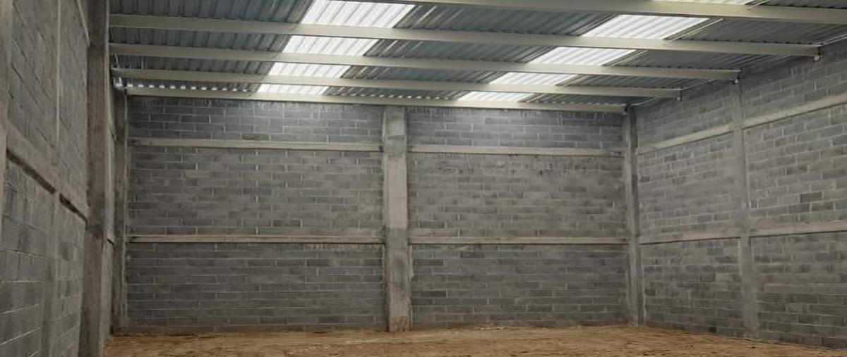 Foto de bodega en renta en  , cantú, monterrey, nuevo león, 0 No. 05