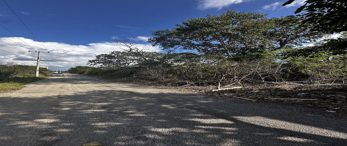 Foto de terreno comercial en venta en caoba , cholul, mérida, yucatán, 30907590 No. 04