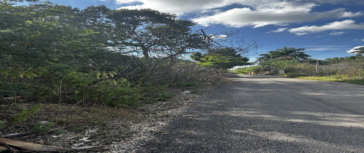 Foto de terreno comercial en venta en caoba , cholul, mérida, yucatán, 30907590 No. 06