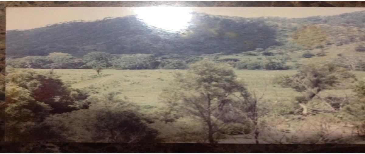 Foto de rancho en venta en  , cáp. rosendo salazar, cintalapa, chiapas, 25980029 No. 03