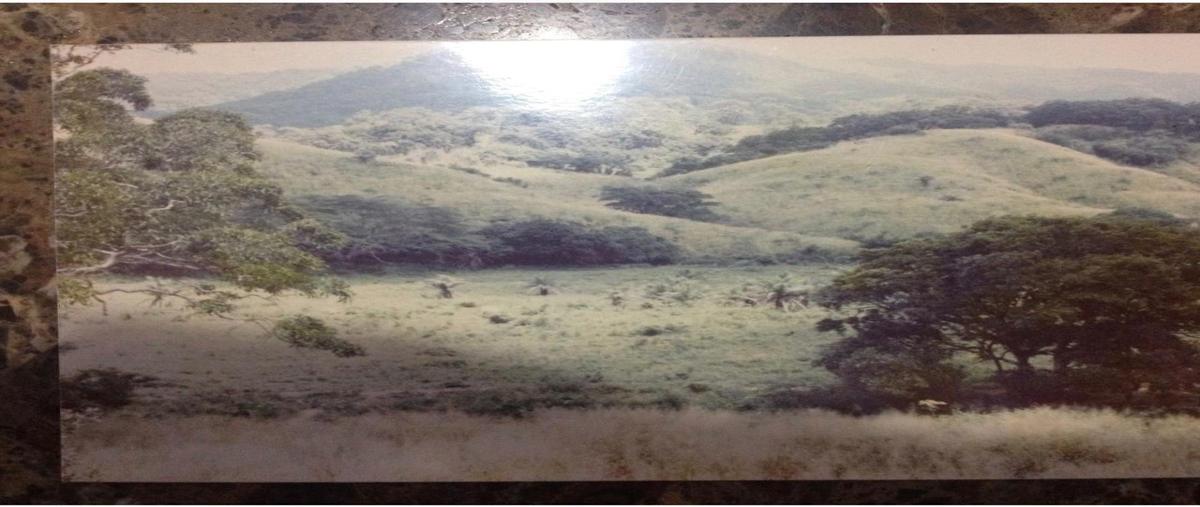 Foto de rancho en venta en  , cáp. rosendo salazar, cintalapa, chiapas, 25980029 No. 04