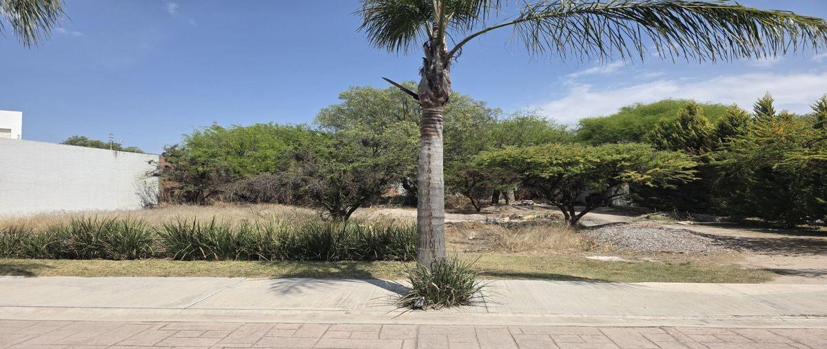 Foto de terreno habitacional en venta en  , capulines, san luis potosí, san luis potosí, 31390067 No. 03