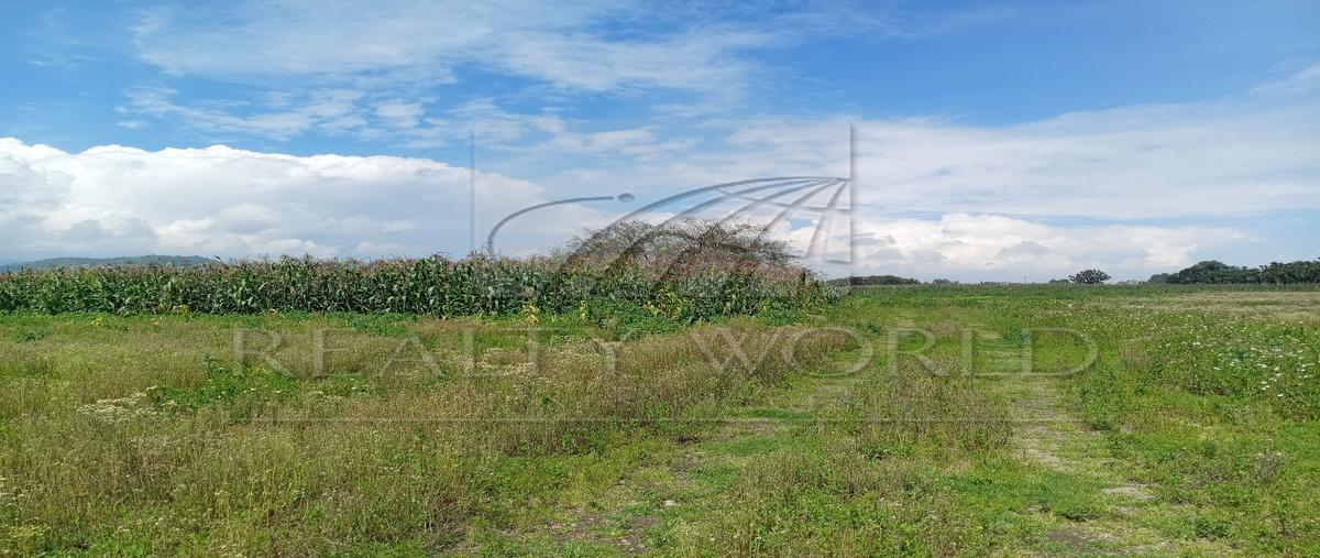 Foto de terreno habitacional en venta en  , capultitlán centro, toluca, méxico, 28871545 No. 05