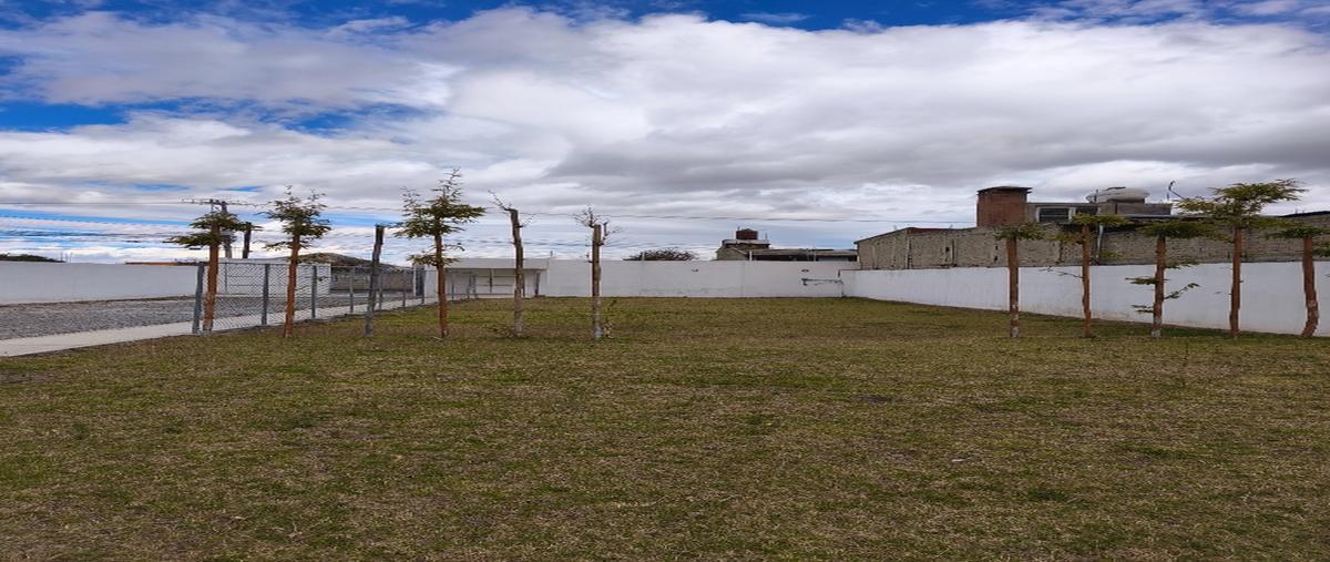 Foto de local en renta en  , capultitlán, toluca, méxico, 0 No. 03