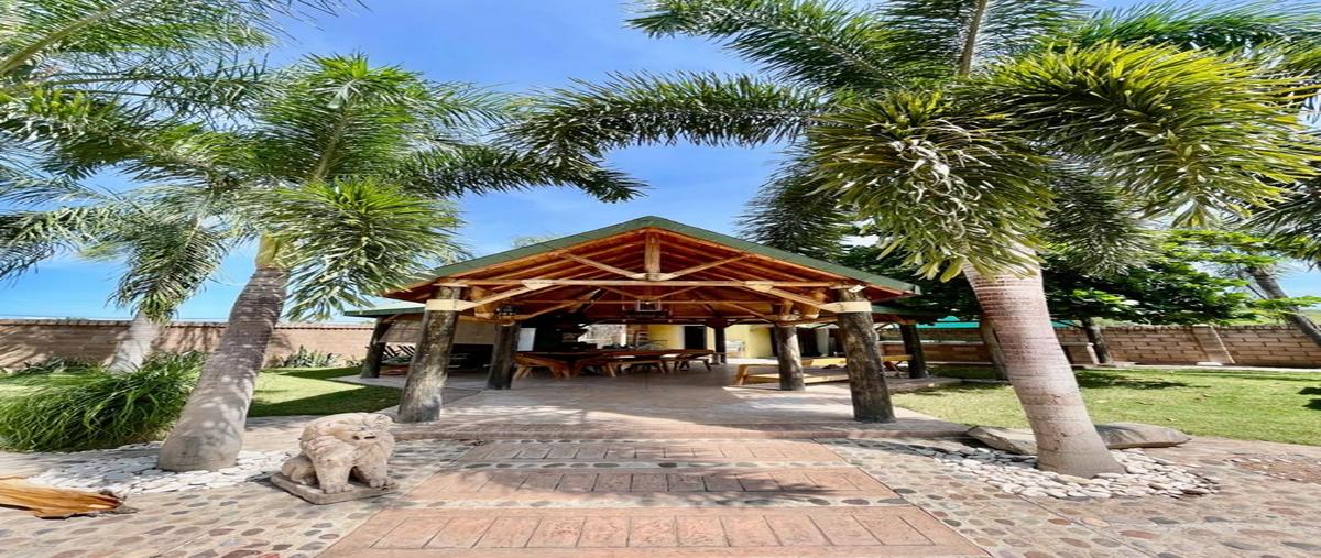 Foto de rancho en venta en  , carboneras, culiacán, sinaloa, 0 No. 05