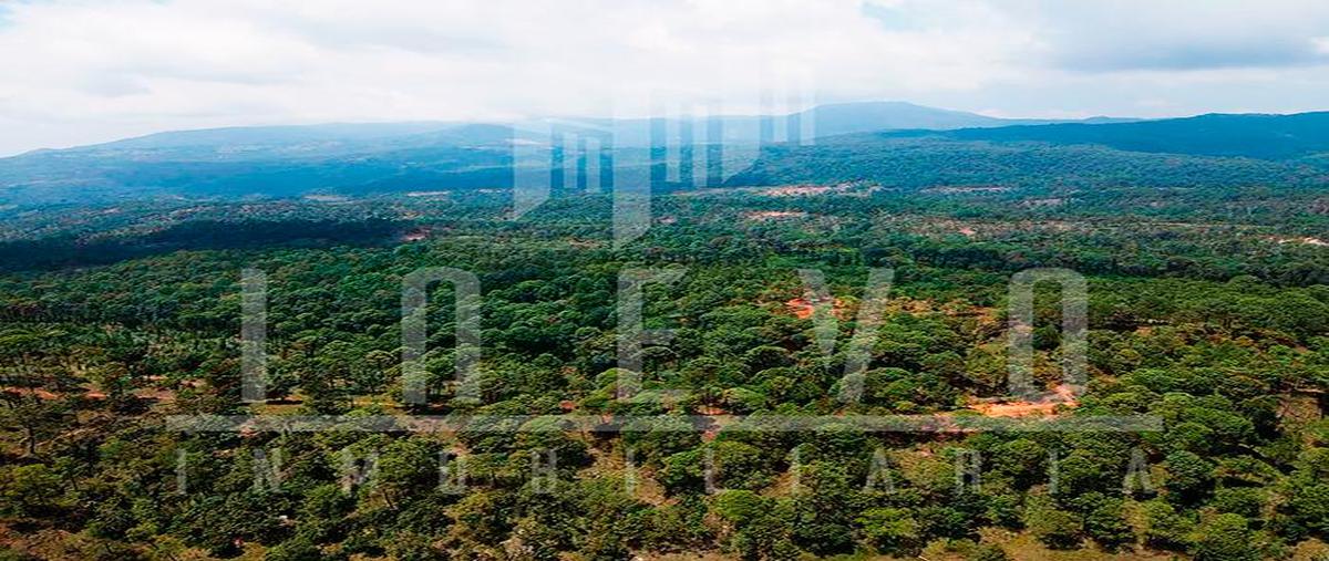 Foto de terreno habitacional en venta en  , carboneras, temascaltepec, méxico, 0 No. 03