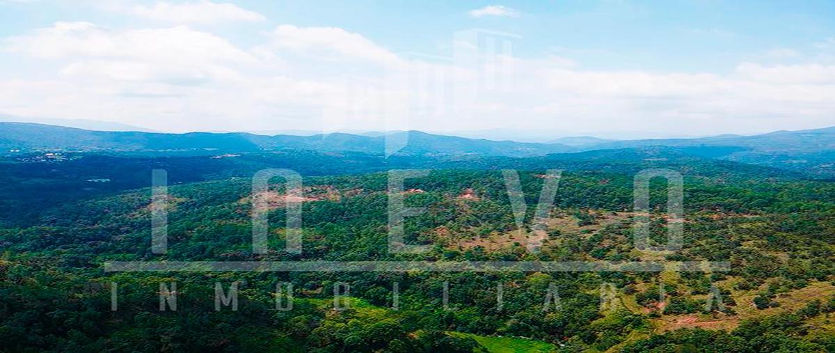 Foto de terreno habitacional en venta en  , carboneras, temascaltepec, méxico, 0 No. 04