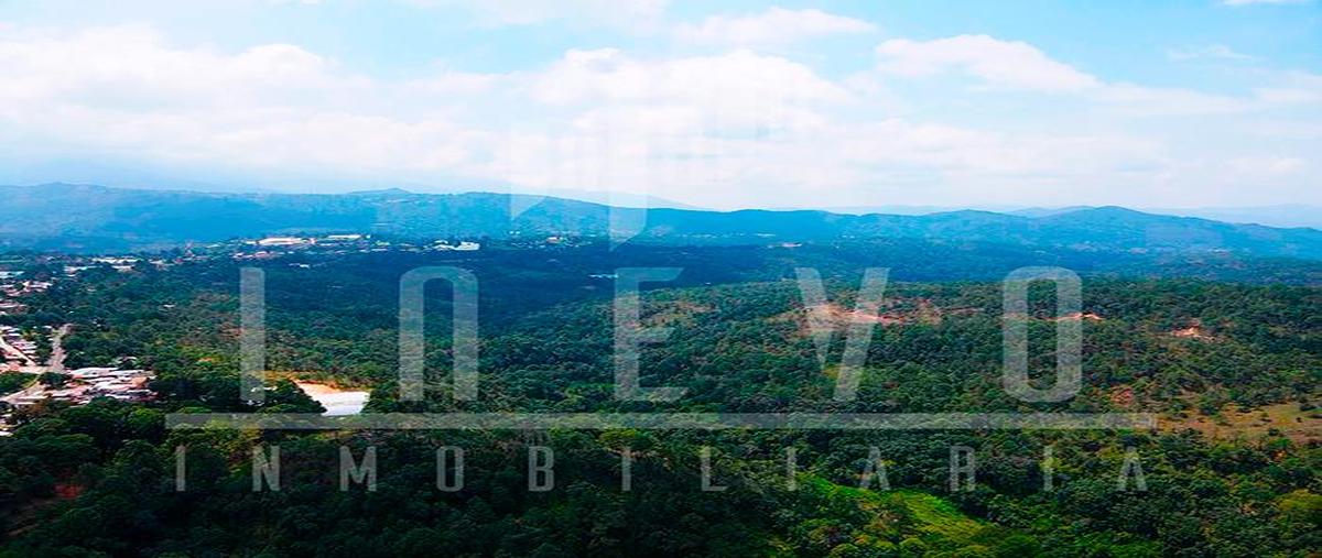 Foto de terreno habitacional en venta en  , carboneras, temascaltepec, méxico, 0 No. 05